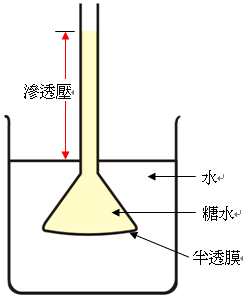 圖片解說